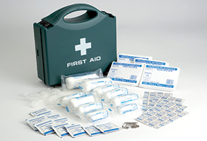 Mainline HSE First Aid Kits